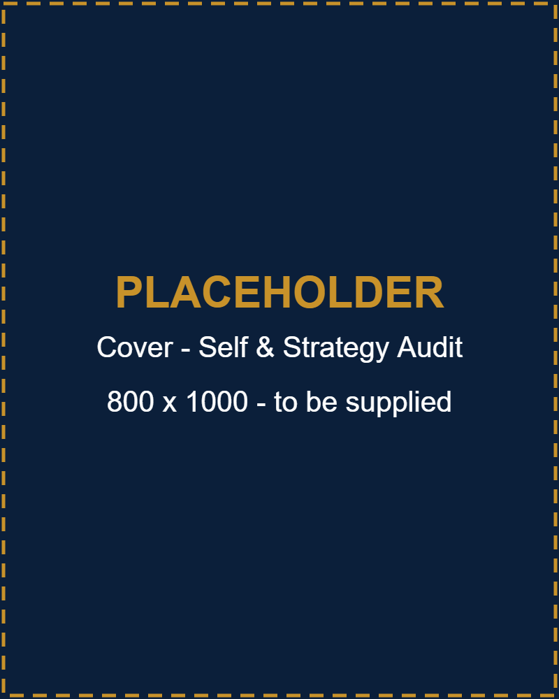 PLACEHOLDER - The Self & Strategy Audit cover
